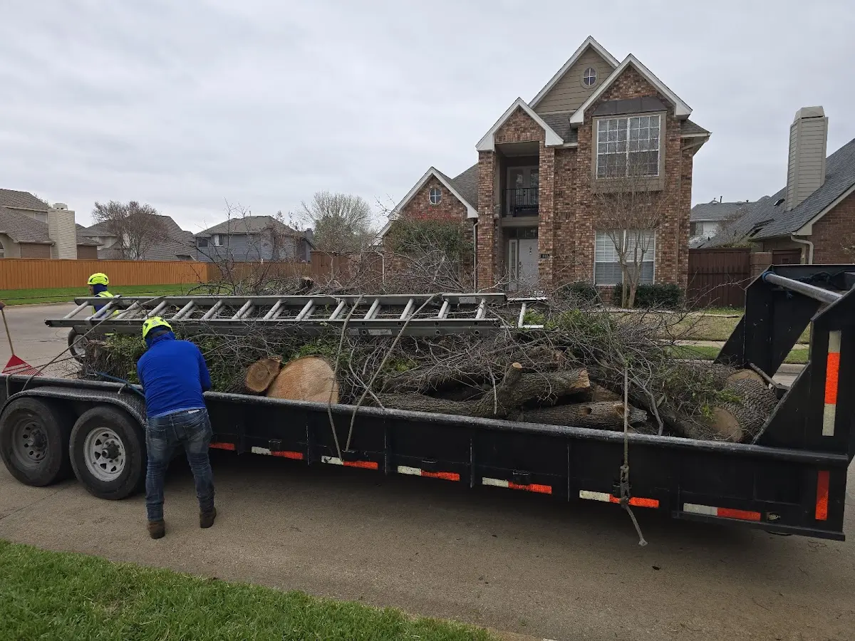 Expert Tree Fertilization with proper safety equipment in Holley